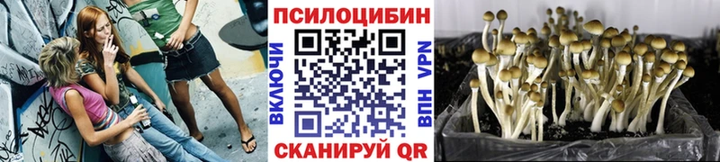 Псилоцибиновые грибы мицелий  Воткинск 